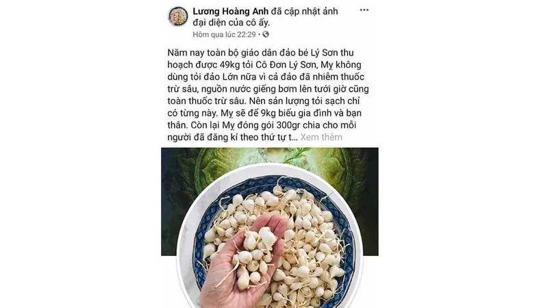 Quảng Ngãi đề nghị Bộ Công an truy tìm tài khoản Facebook tung tin tỏi Lý Sơn nhiễm thuốc trừ sâu