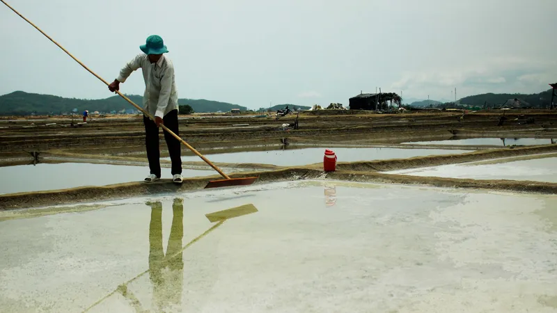 nghề làm muối sa huỳnh