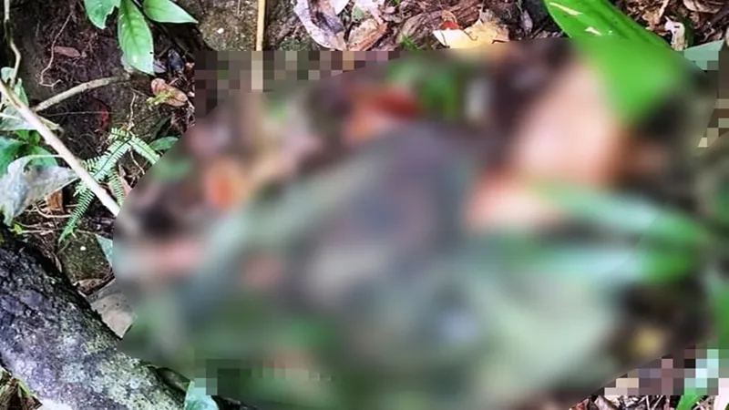 Đi săn khỉ, 1 người chết vì súng cướp cò