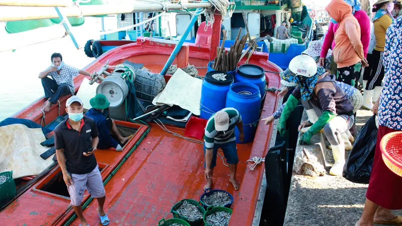 Quảng Ngãi vừa chống dịch vừa đảm bảo xuất nhập hải sản cảng cá