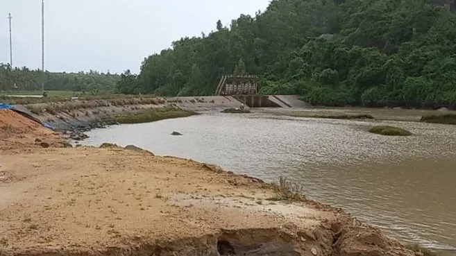 Sạt lở đê ngăn mặn do mưa lũ ở Quảng Ngãi 
