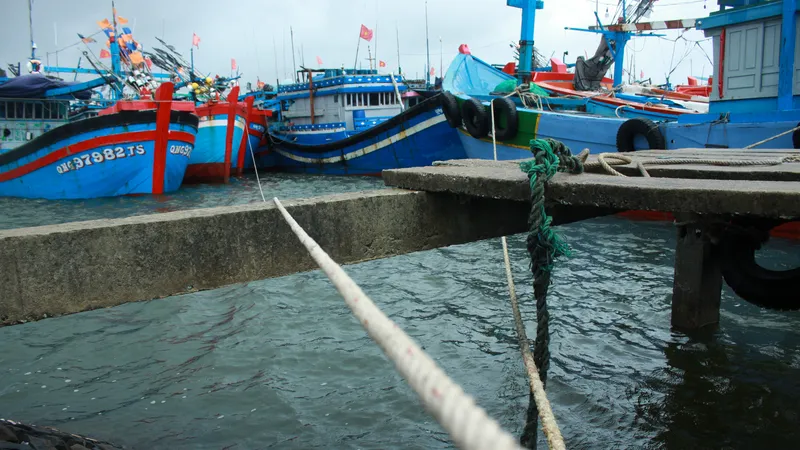 Quảng Ngãi kêu gọi tàu thuyền tránh trú, neo đậu an toàn trước 10 giờ ngày 18-12