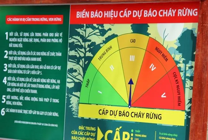Quảng Ngãi nắng nóng, cảnh báo cháy rừng cấp cao