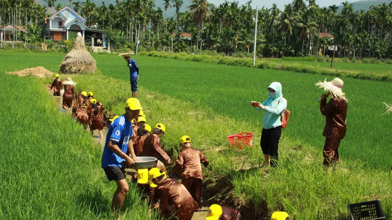 Quảng Ngãi: Kỳ vọng làng du lịch cộng đồng Bình Thành