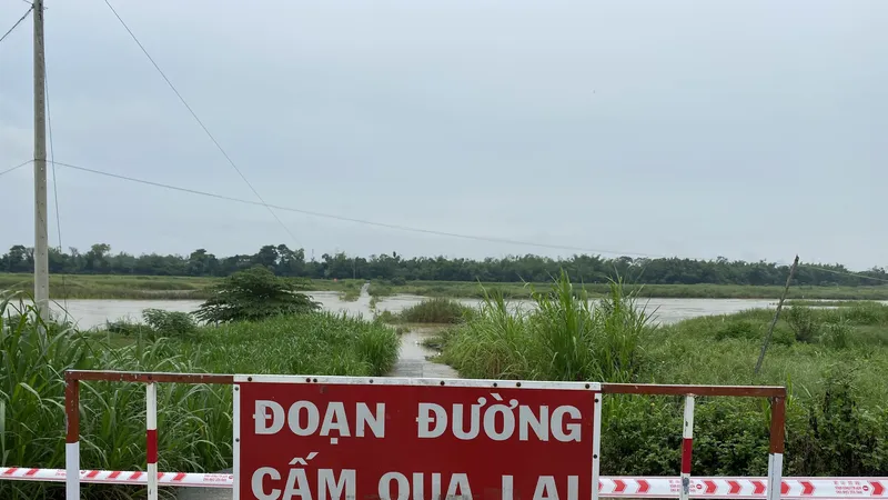 Quảng Ngãi: Nước lớn sông Trà Khúc, 350 hộ dân giữa dòng sông bị cô lập
