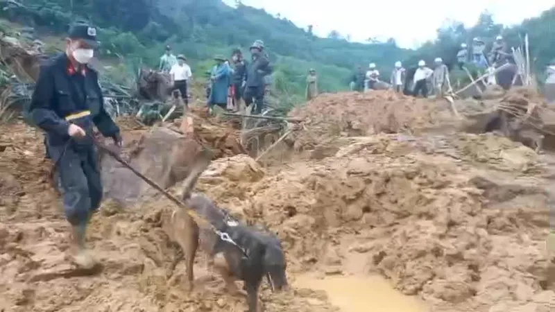 Quảng Ngãi: Đưa chó nghiệp vụ tìm kiếm kỹ sư mất tích trong vụ sạt lở ở thủy điện Kà Tinh