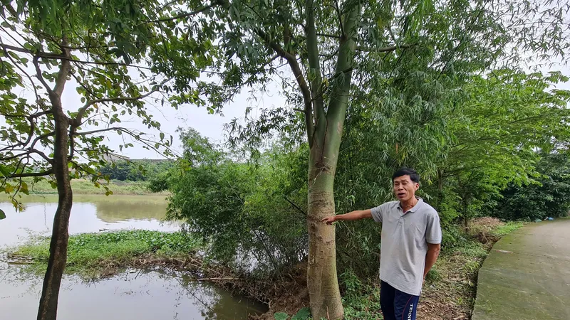 Bờ sông sạt lở nghiêm trọng, dọa “nuốt” 29 hộ dân ở Quảng Ngãi