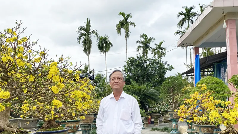 Ngày tết, gặp người trồng hoa mai tiêu biểu của tỉnh Quảng Ngãi