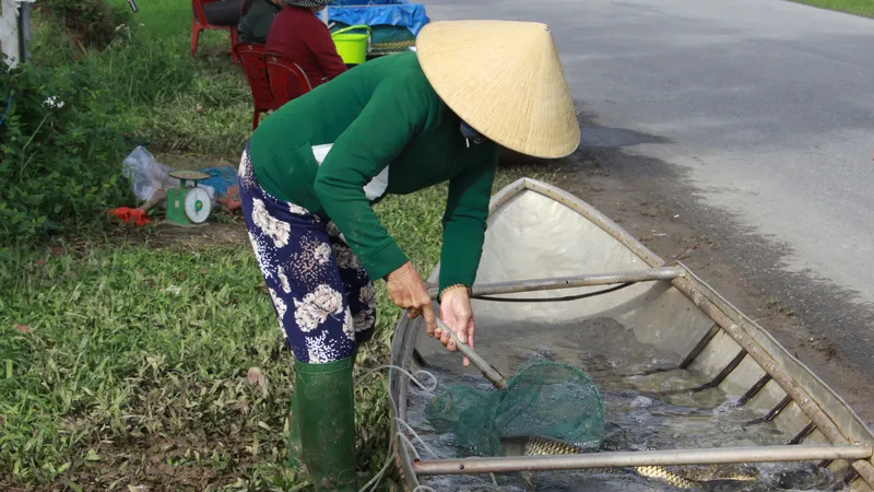 Quảng Ngãi: Độc đáo đưa ghe ra đường lộ bán cá đầu xuân