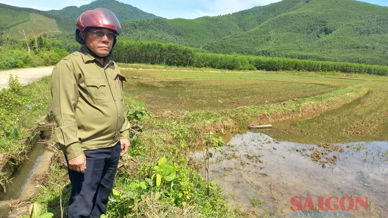  Nông dân Quảng Ngãi chống hạn “cứu” cây trồng