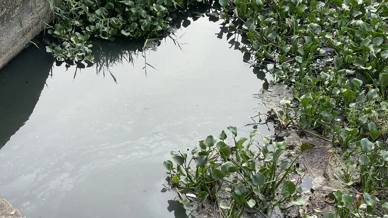 Quảng Ngãi: Gần 15 tỷ cải tạo hồ điều hòa Nghĩa Chánh xử lý ô nhiễm môi trường
