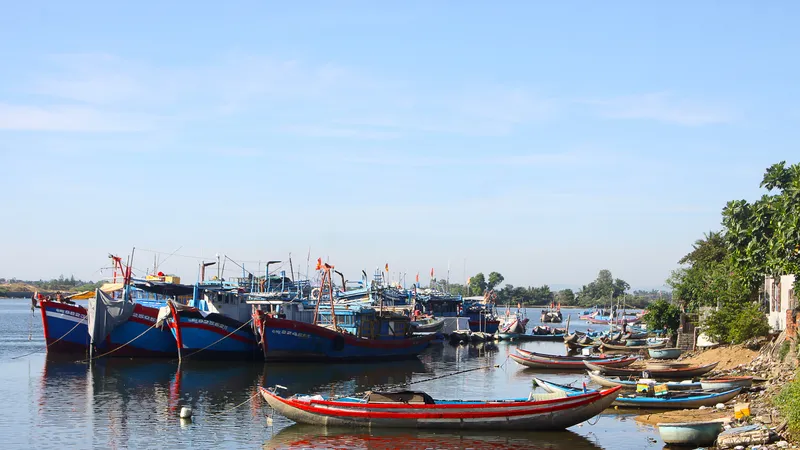 Quảng Ngãi: Kiến nghị dùng 55 tỷ đồng chuyển đổi nghề cho ngư dân