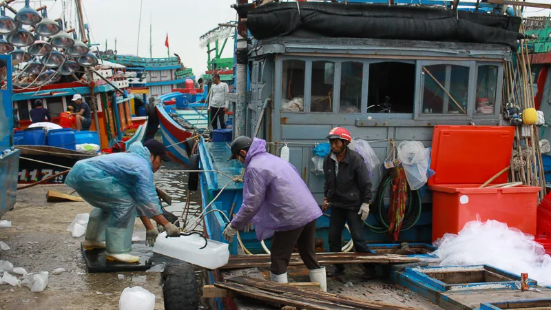 Quảng Ngãi: Tháo gỡ khó khăn cho hơn 700 tàu cá nằm bờ do không đăng ký, đăng kiểm