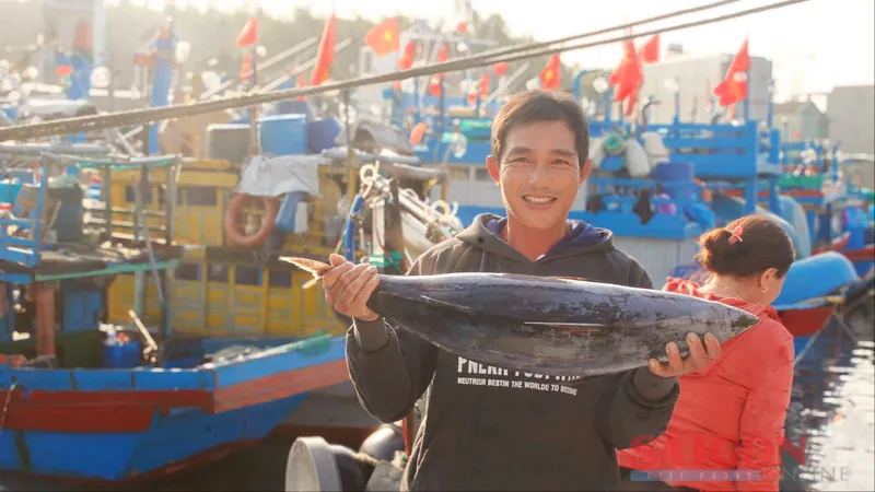 Ngư dân Quảng Ngãi phấn khởi chuyến biển cuối năm