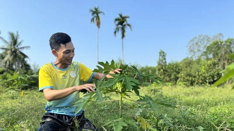 Tuổi trẻ Quảng Ngãi khởi nghiệp từ nông nghiệp sạch