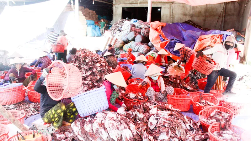 Quảng Ngãi: Trúng đậm mực xà đầu năm, thu về hơn 250 tỷ đồng