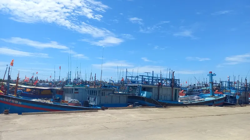 Cảng cá tỉnh Quảng Ngãi vẫn chưa đáp ứng hoạt động của nghề cá