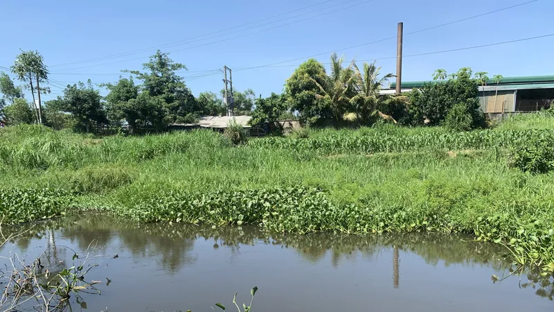 Nhiều cụm công nghiệp tại Quảng Ngãi chưa đầu tư hệ thống xử lý nước thải tập trung