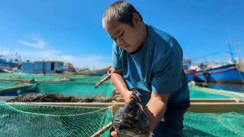Nông dân thu về khoảng 1 tỷ đồng mỗi năm từ nuôi cá mú lồng bè
