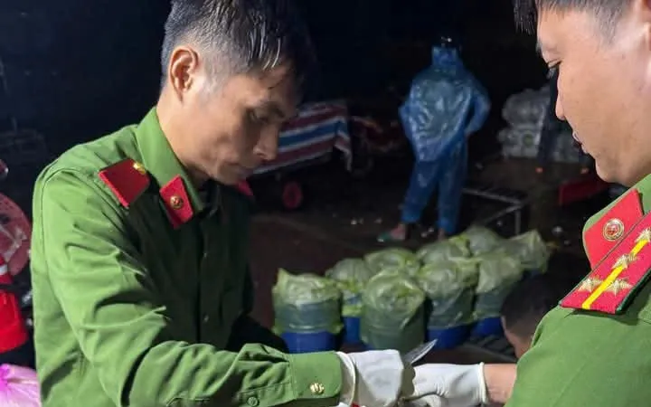 Phát hiện một cơ sở dùng hóa chất sản xuất giá đỗ ở Quảng Ngãi