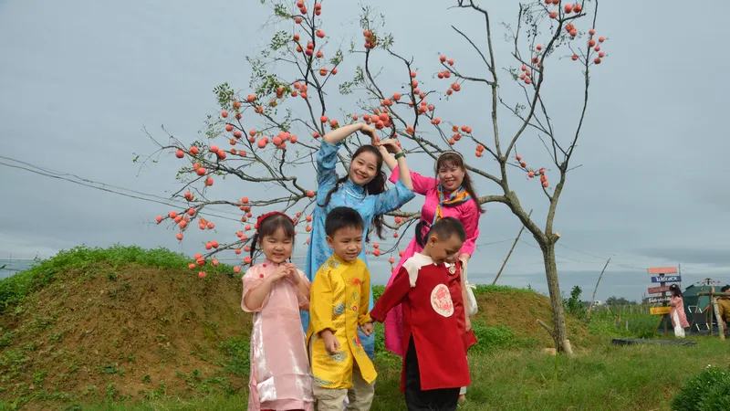 Người Quảng Ngãi du xuân sớm trên cánh đồng hoa