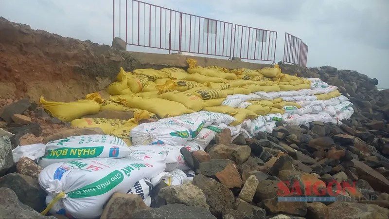 Triển khai khắc phục tình trạng sạt lở bờ kè xã An Phú