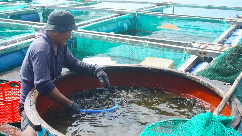 Thủy sản Việt Nam cần được hỗ trợ và chuyển hướng trước mức thuế của Hoa Kỳ