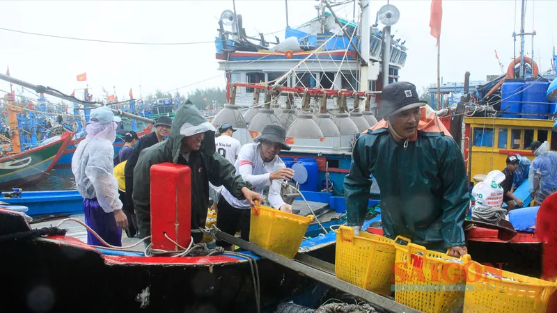 Áp thấp nhiệt đới, tàu cá Quảng Ngãi chưa vội xuất bến