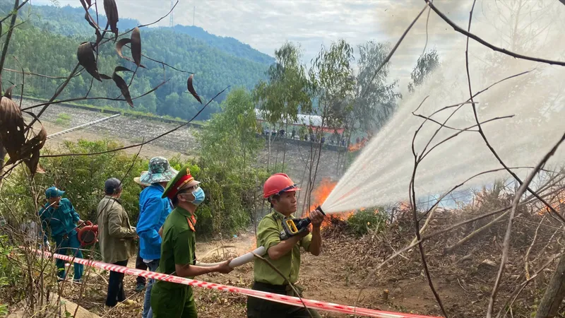 Nắng nóng, cảnh báo cháy rừng ở Quảng Ngãi