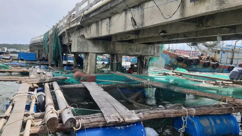 Nguy cơ sập cầu, Quảng Ngãi yêu cầu ngư dân không neo tàu vào trụ