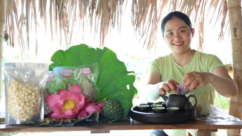Sen nở trên vùng đất bom đạn Sơn Mỹ