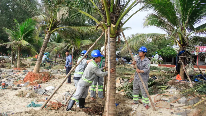 Quảng Ngãi: Dựng lại cây xanh ven biển, khắc phục ô nhiễm môi trường sau bão