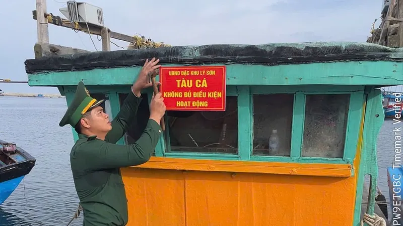 Đặc khu Lý Sơn niêm phong 7 tàu cá không đủ điều kiện hoạt động khai thác 