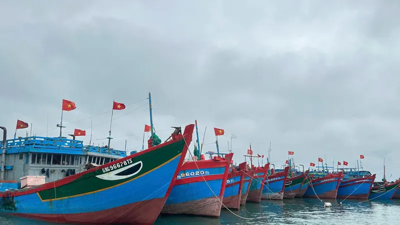 Các địa phương Quảng Ngãi lên phương án ứng phó bão số 15