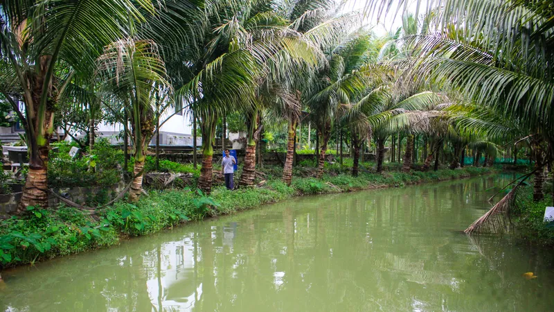 Nông dân Quảng Ngãi thu tiền tỷ từ mô hình VAC tổng hợp