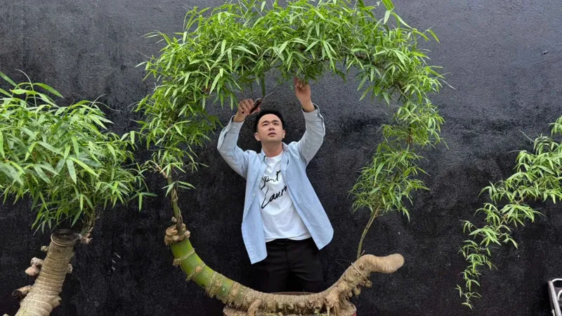 Từ gốc tre xù xì đến tác phẩm bonsai độc đáo