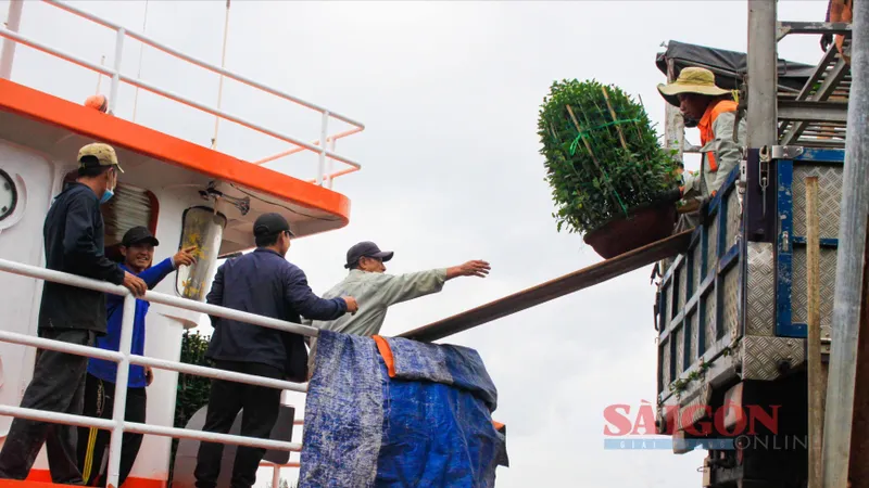 Hàng tết nhộn nhịp vượt sóng ra đặc khu Lý Sơn