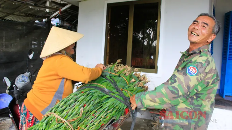 Nông dân Quảng Ngãi được mùa hoa lay ơn