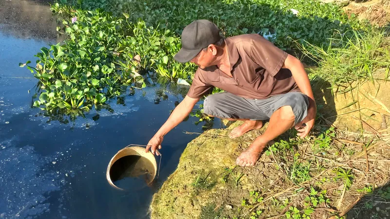 Xác định nguyên nhân ô nhiễm kênh chìm Sơn Tịnh là do bùn lắng, nước thải