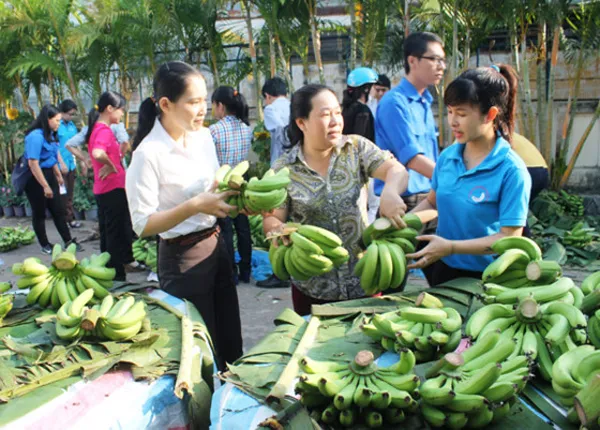 Nông sản lại rớt giá vì thiếu thông tin thị trường