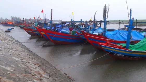 Đêm nay 16-7, vùng ven biển từ Thanh Hóa đến Hà Tĩnh có gió bão giật cấp 11 