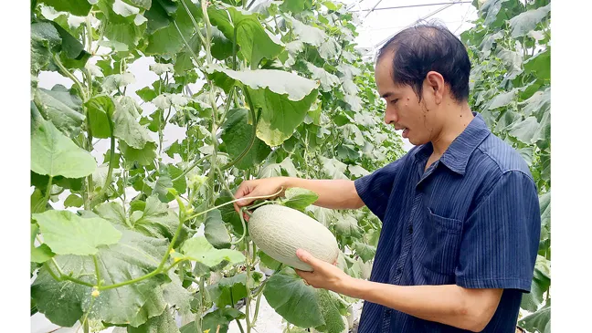 Khấm khá nhờ nông nghiệp công nghệ cao