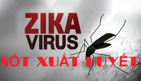 Hà Nội căng mình dập dịch sốt xuất huyết