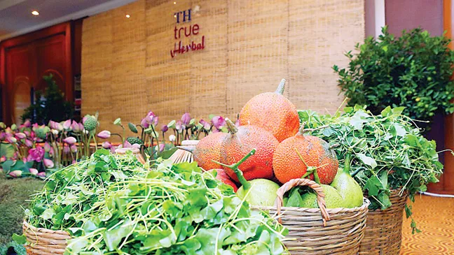 Gấc đỏ lọt vào “mắt xanh” nhà khoa học Đức, Hà Lan