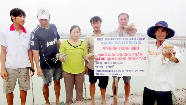 Thoát nghèo ngay trên… ruộng muối