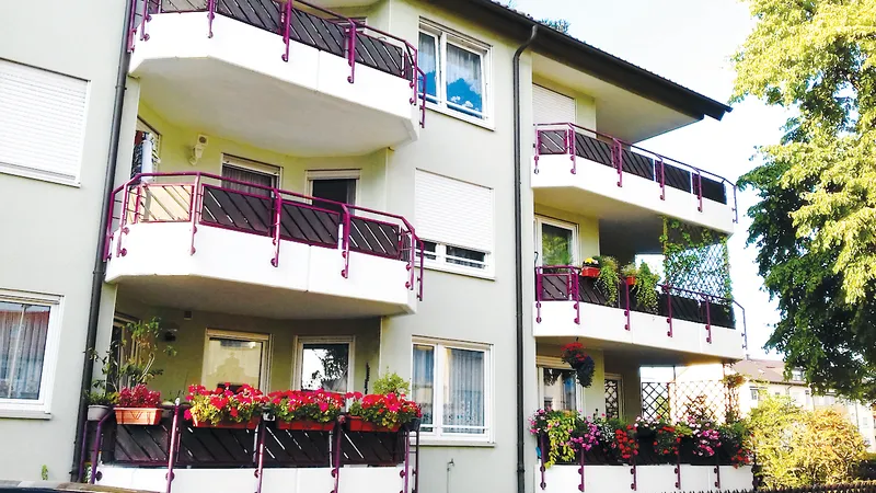 Nơi thực phẩm không thiếu, nhưng thiếu rau thơm