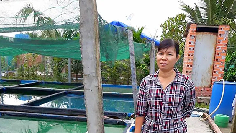 Nuôi cá cảnh - làm thử, ăn thật