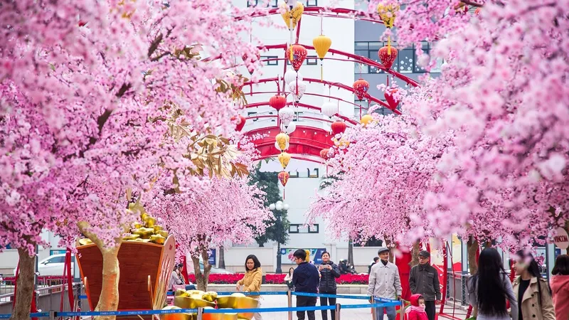 Ngỡ ngàng thấy Tết đã bên thềm cửa