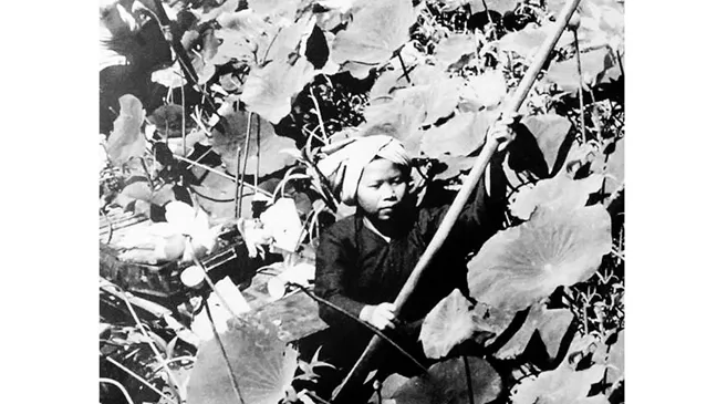 Cuộc tổng tiến công và nổi dậy Xuân Mậu Thân 1968: Sự thống nhất giữa ý Đảng, lòng dân
