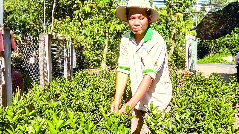 Khởi sắc làng quê
